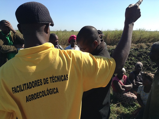 África: “Agroecología vino para quedarse en Marracuene” – aseguran campesinos de la Asociación agrícola Alfredo Nhamitete